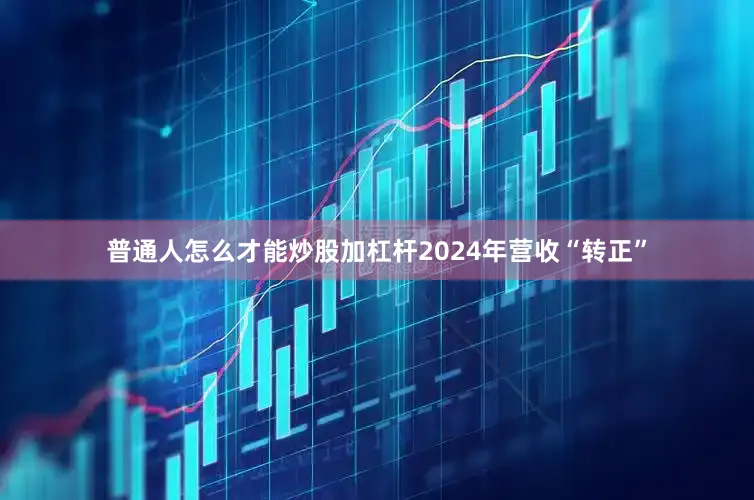 普通人怎么才能炒股加杠杆2024年营收“转正”