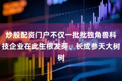 炒股配资门户不仅一批批独角兽科技企业在此生根发芽、长成参天大树