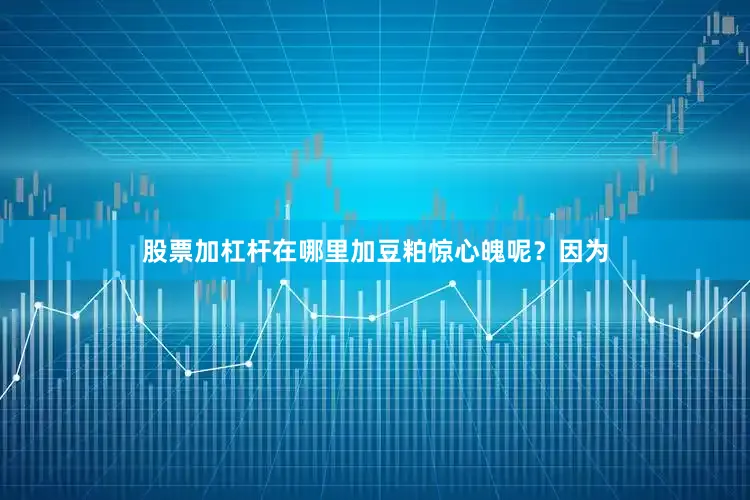 股票加杠杆在哪里加豆粕惊心魄呢？　　因为