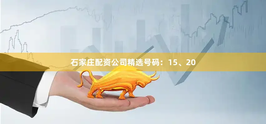 石家庄配资公司精选号码：15、20